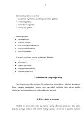 Karjeros planavimas 6 puslapis