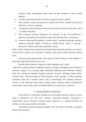 Keleivių vežimas Alytuje 19 puslapis