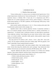 Keleivių vežimas Alytuje 3 puslapis