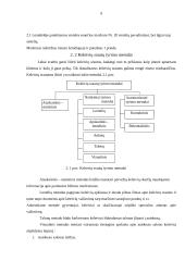 Keleivių vežimas Alytuje 8 puslapis