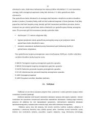 Trumpalaikių įmonės skolų ir įsipareigojimų apskaita 12 puslapis
