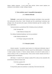 Trumpalaikių įmonės skolų ir įsipareigojimų apskaita 13 puslapis