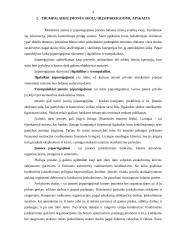 Trumpalaikių įmonės skolų ir įsipareigojimų apskaita 3 puslapis