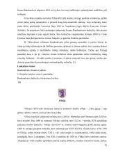 Kelionės maršrutas Panemune ir Pamario kraštu 17 puslapis