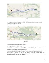 Kelionės maršrutas Panemune ir Pamario kraštu 10 puslapis