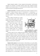Automobilio uždegimo sistema 17 puslapis