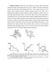 Automobilio uždegimo sistema 6 puslapis