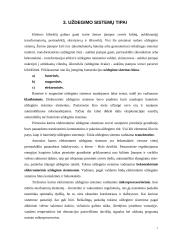 Automobilio uždegimo sistema 7 puslapis