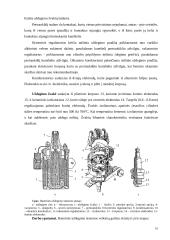 Automobilio uždegimo sistema 10 puslapis
