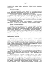 Vadovavimo problemos 12 puslapis
