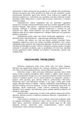 Vadovavimo problemos 13 puslapis