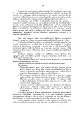 Vadovavimo problemos 17 puslapis