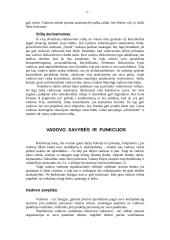 Vadovavimo problemos 7 puslapis