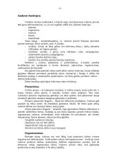 Vadovavimo problemos 9 puslapis