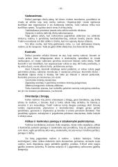 Vadovavimo problemos 10 puslapis