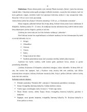 Kelionės maršrutas: "Pažintis su Panemune" 11 puslapis