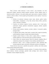 Kelionės maršrutas: "Pažintis su Panemune" 6 puslapis