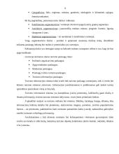 Kelionės maršrutas: "Pažintis su Panemune" 9 puslapis