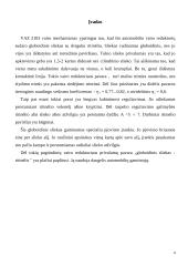 Vairo mechanizmas 4 puslapis