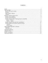 Kelionės organizavimas į Valensiją 2 puslapis