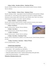 Kelionės organizavimas į Valensiją 12 puslapis