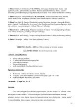 Kelionės organizavimas į Valensiją 14 puslapis