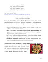 Kelionės organizavimas į Valensiją 17 puslapis