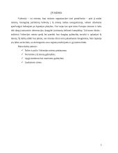 Kelionės organizavimas į Valensiją 3 puslapis