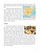 Kelionės organizavimas į Valensiją 5 puslapis