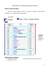 Kelionės organizavimas į Valensiją 6 puslapis