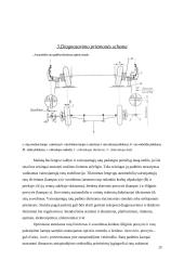 Vairo sistemos diagnostika 13 puslapis