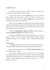 Vairo sistemos diagnostika 5 puslapis