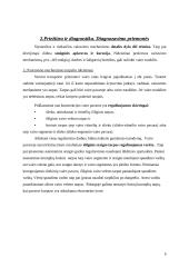 Vairo sistemos diagnostika 6 puslapis