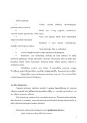 Vairo sistemos diagnostika 8 puslapis