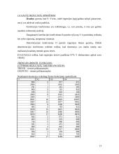 Kiekybiniai sprendimo metodai - praktinės užduotys 12 puslapis