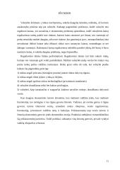 Valstybinis reguliavimas 11 puslapis