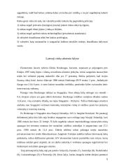 Valstybinis reguliavimas 9 puslapis