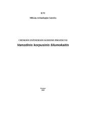 Vamzdinis korpusinis šilumokaitis 1 puslapis