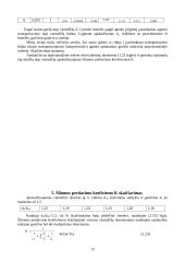 Vamzdinis korpusinis šilumokaitis 13 puslapis