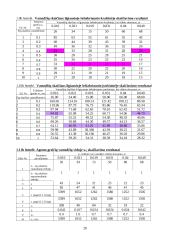 Vamzdinis korpusinis šilumokaitis 20 puslapis