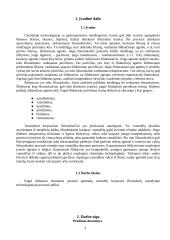 Vamzdinis korpusinis šilumokaitis 3 puslapis