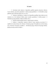 Gamybos planavimo uždaviniai 18 puslapis