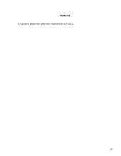 Gamybos planavimo uždaviniai 19 puslapis