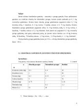 Gamybos planavimo uždaviniai 4 puslapis