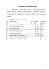 Verslo planas: automobilių serviso projektavimas 11 puslapis