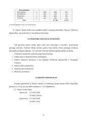 Verslo planas: prekyba autodalimis, automobilių remonto paslaugos  IĮ "Startas" 11 puslapis