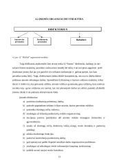 Verslo planas: prekyba autodalimis, automobilių remonto paslaugos  IĮ "Startas" 13 puslapis