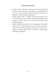 Verslo planas: prekyba autodalimis, automobilių remonto paslaugos  IĮ "Startas" 20 puslapis