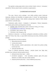 Verslo planas: prekyba autodalimis, automobilių remonto paslaugos  IĮ "Startas" 6 puslapis