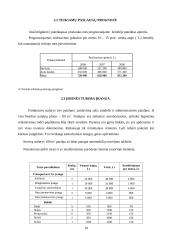 Verslo planas: prekyba autodalimis, automobilių remonto paslaugos  IĮ "Startas" 10 puslapis
